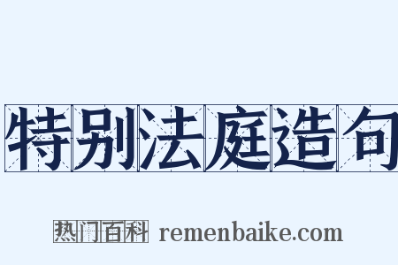 特别法庭造句是什么意思的图片